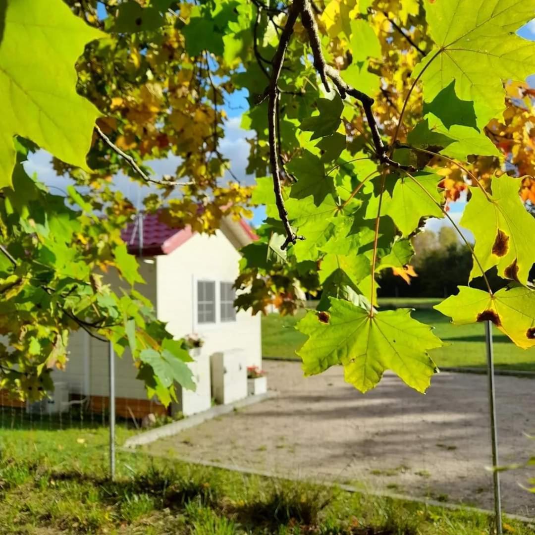 Osada Wilaneska Domki Mikolajki Mazury Ngoại thất bức ảnh