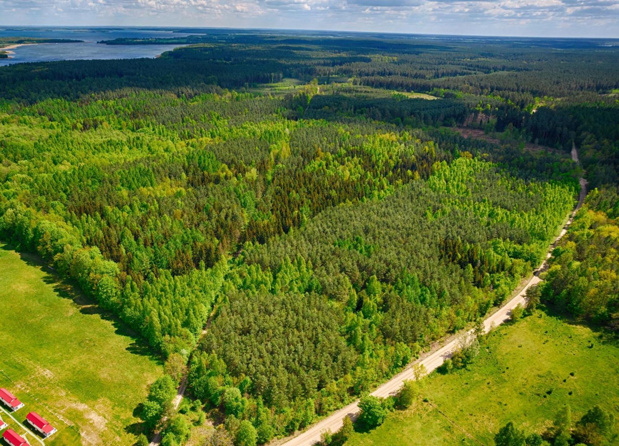 Osada Wilaneska Domki Mikolajki Mazury Ngoại thất bức ảnh